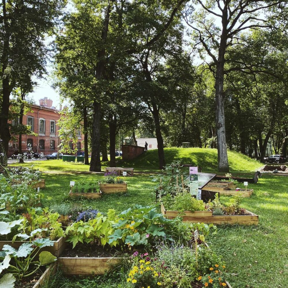 <strong>Kreenholm community garden end of season chill’n’grill</strong>