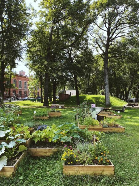 <strong>Kreenholm community garden end of season chill’n’grill</strong>