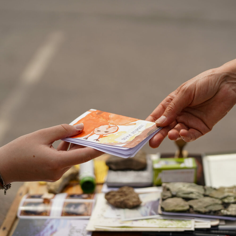 “Your passport, please” – Masha Pryven’s and Narva youth’s public action