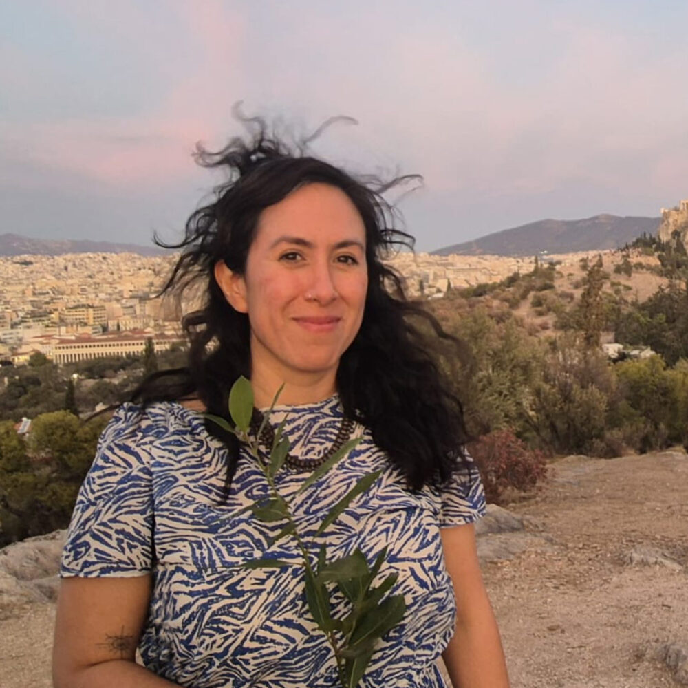 <br><strong>Violeta Ortega-Navarrete</strong>