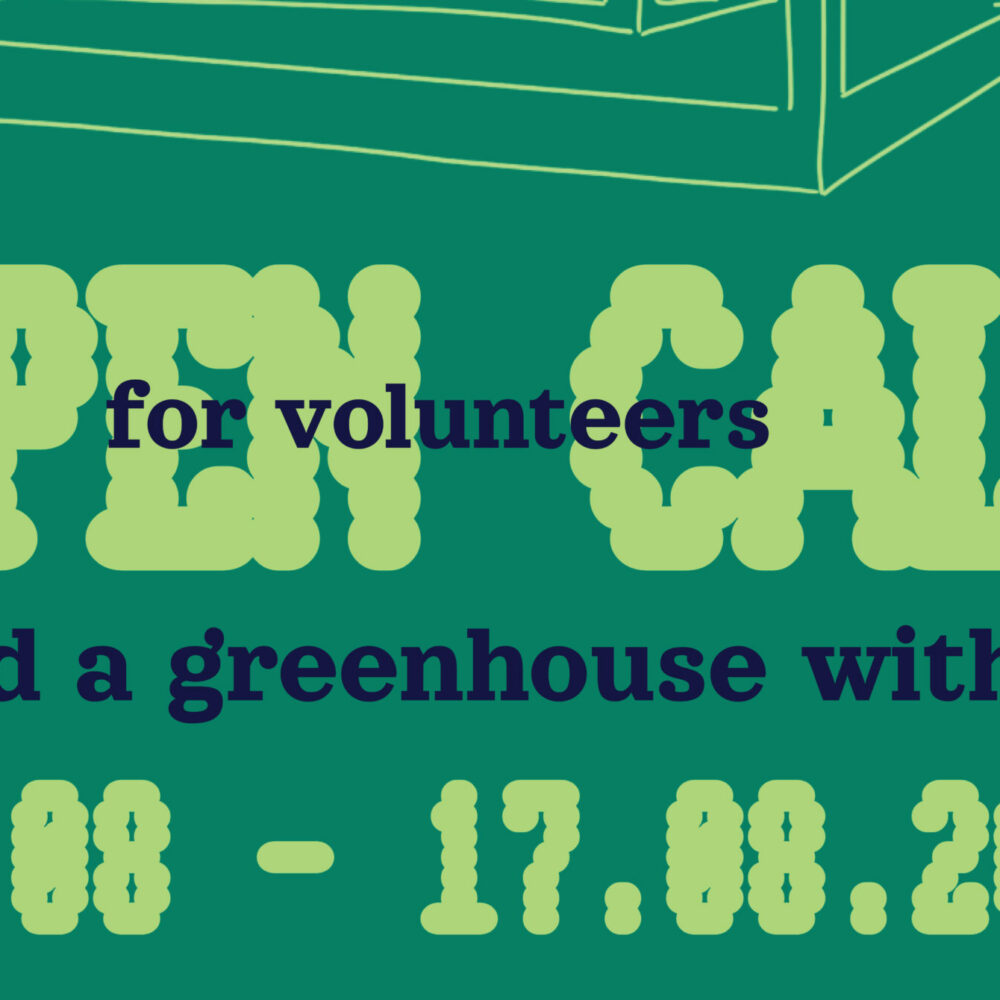 Build a Greenhouse with Us! / Summer Camp at the Krenholm Garden