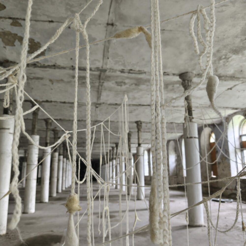 “Orgaaniline võrk” – installatsioon Mehhiko kunstnikult Violeta Ortega-Navarretelt