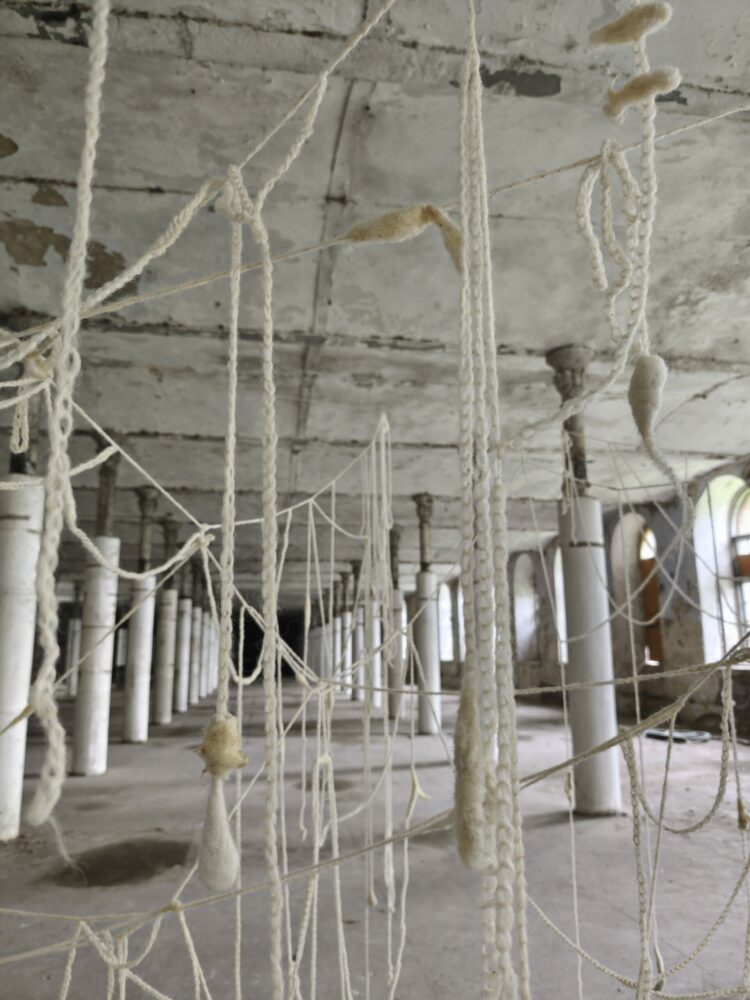“Organic Network” – an Installation by Mexican Artist Violeta Ortega-Navarrete