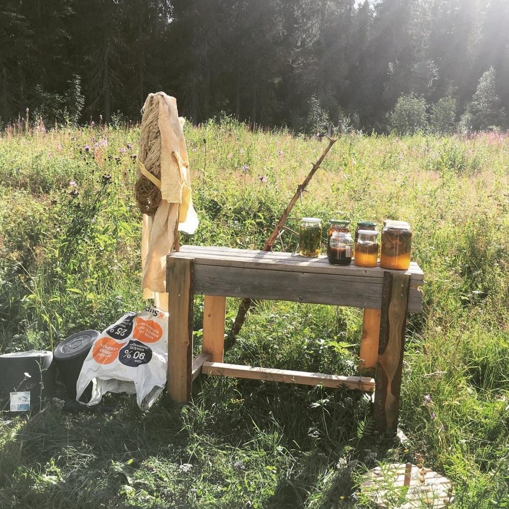 Michaela Casková workshop “Weather-casting: making dyes and inks from local plants and found materials” | Kreenholm garden