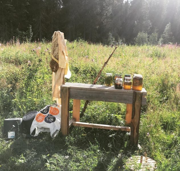 Michaela Casková workshop “Weather-casting: making dyes and inks from local plants and found materials” | Kreenholm garden