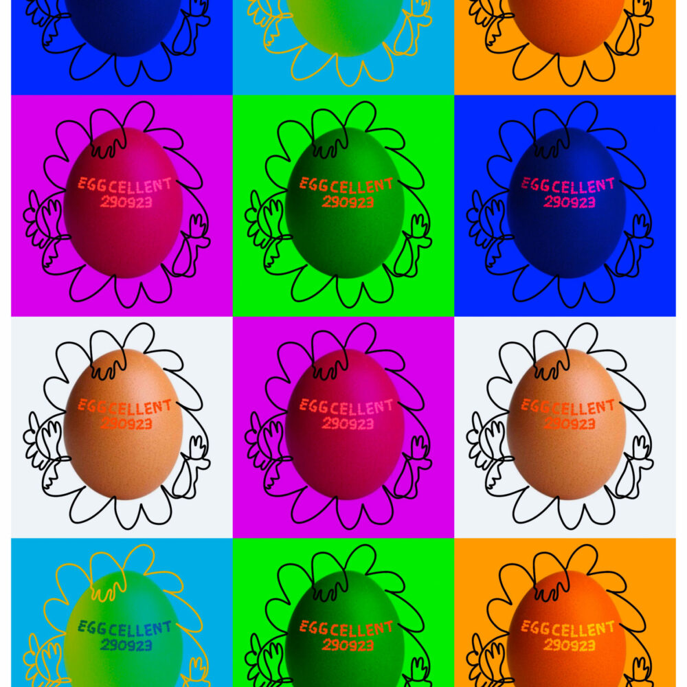 EGGCELLENT Extravaganza