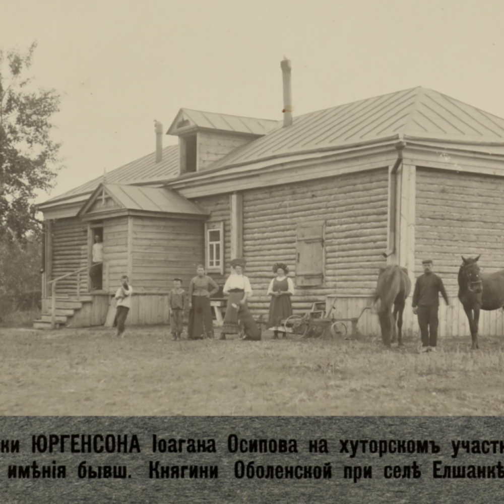 Ольга Юргенсон «Вернуться в Тойла»