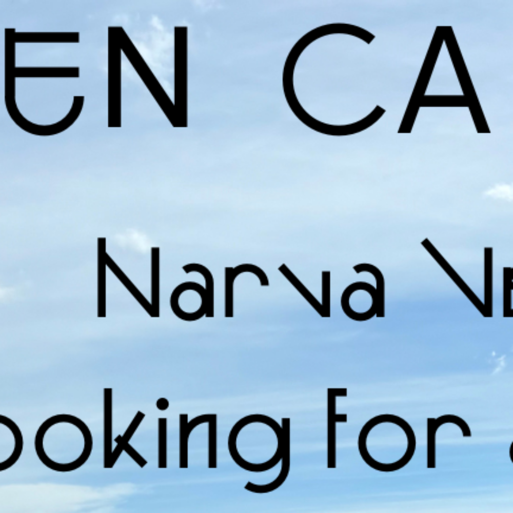 <strong>Open Call: Kunstnike kutsung Narva Veneetsiasse!</strong>