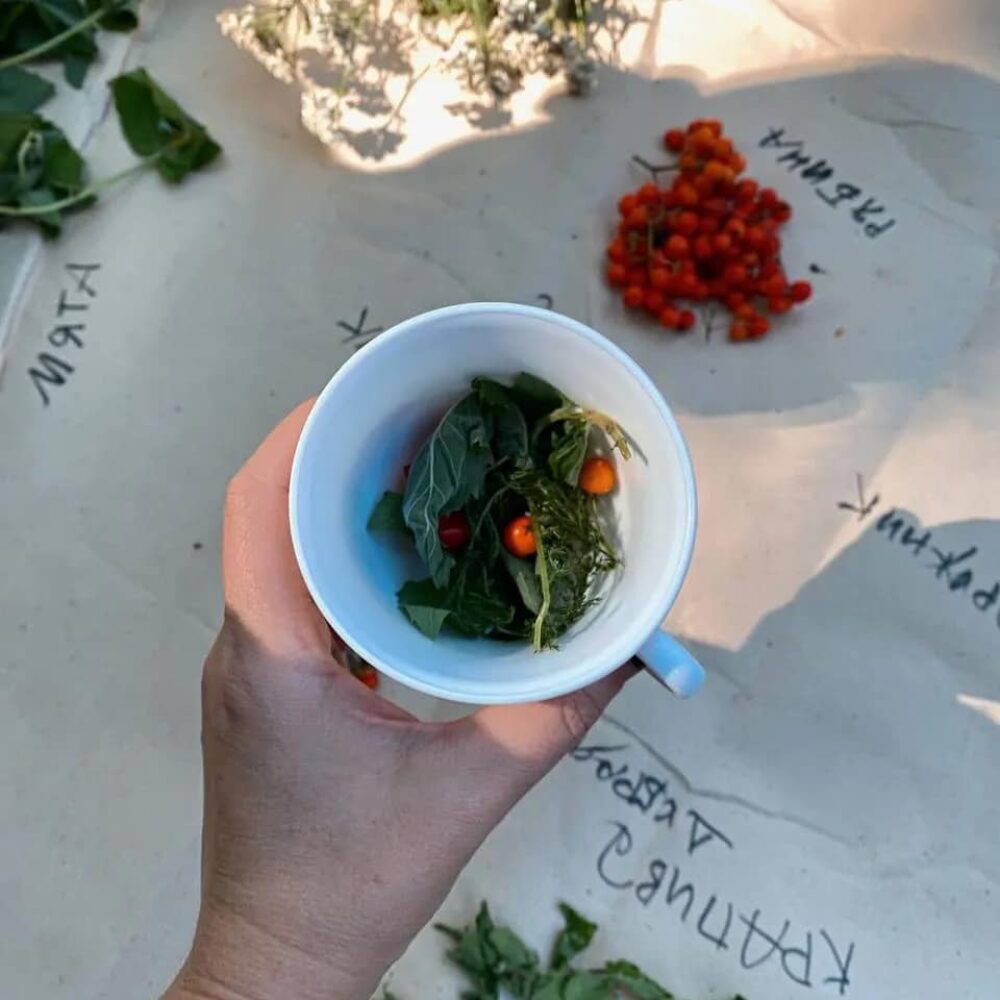 Koriluse ja (võlu)jookide valmistamine / Foraging and potion making