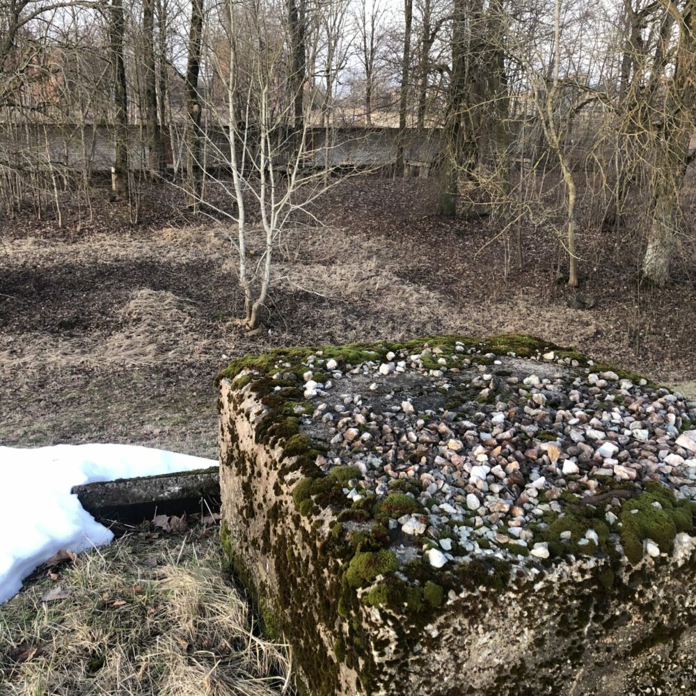 Jalutuskäigud Kreenholmi territooriumil koos Miia Kettuneniga