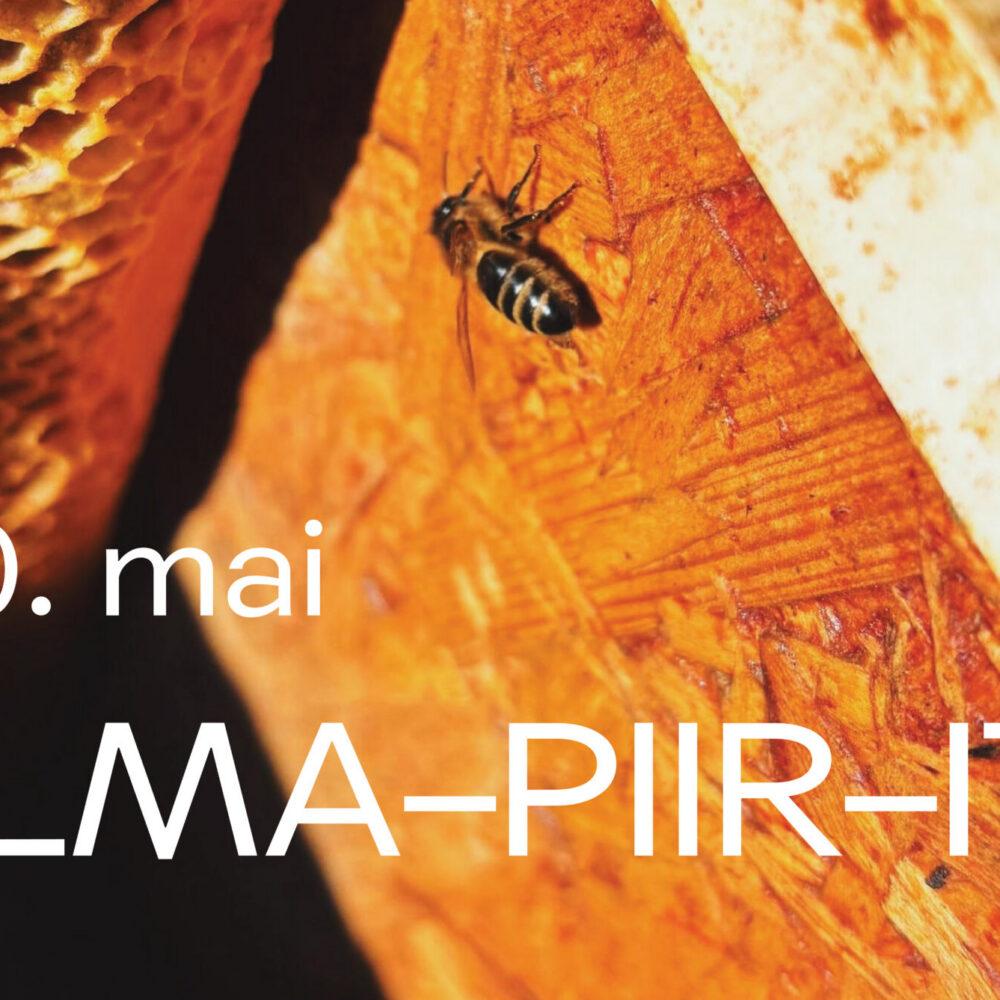 Слёт “S–ilma–piir–itu”
