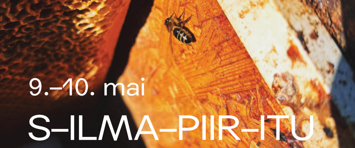 “S–ilma–piir–itu” gathering